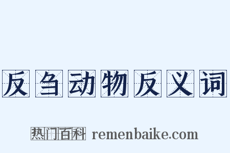 反刍动物反义词是什么意思的图片